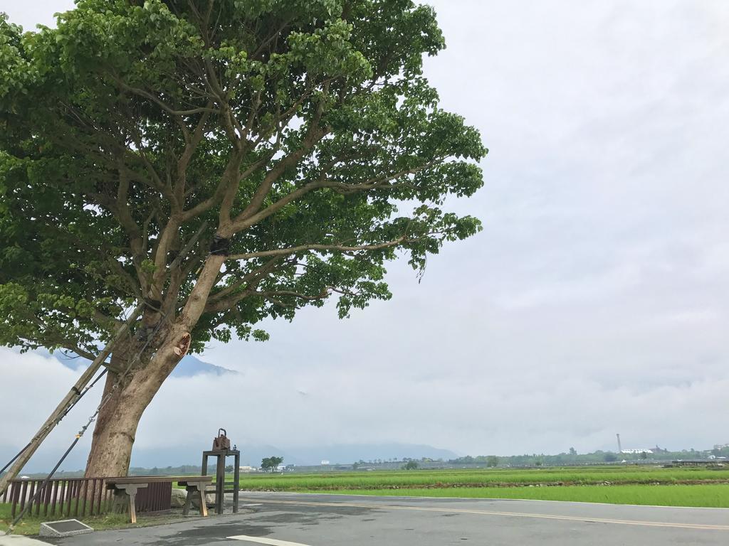 玉蟾園民宿 寵物友善 Yuchanyuan B&B Chishang Exterior photo