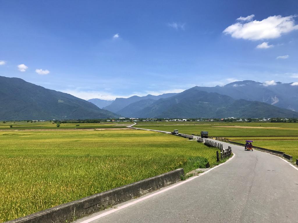 玉蟾園民宿 寵物友善 Yuchanyuan B&B Chishang Exterior photo